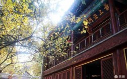 高学历出家的北京西山寺院（西山 寺庙）