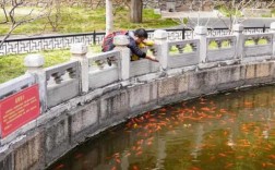 西安有放生池的寺庙（西安附近哪里可以放生鱼）
