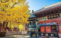北京佛教寺院排行榜（北京佛教寺院排名）