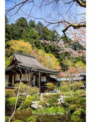 日本的寺院（日本的寺院有哪些）-图2