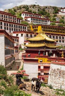 西藏寺院多少（西藏寺庙收费吗）