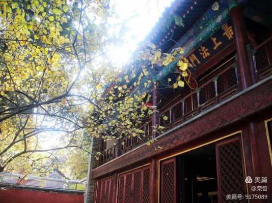 高学历出家的北京西山寺院（西山 寺庙）-图1