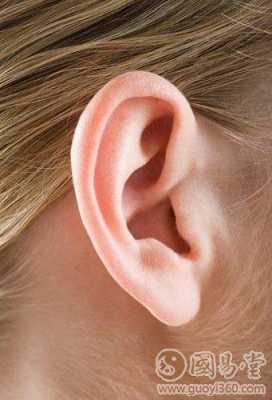 耳障相什么意思是什么（耳障人士）