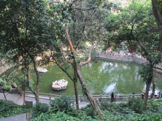 广州哪间寺庙有放生池（广州 放生）