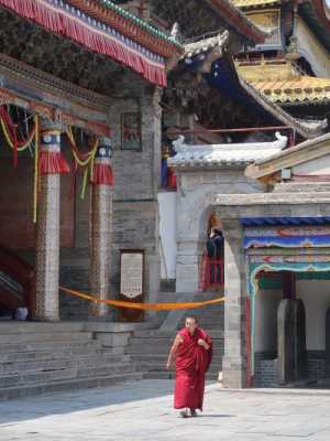 西宁藏传佛教的寺院（西宁最大的藏教寺庙）