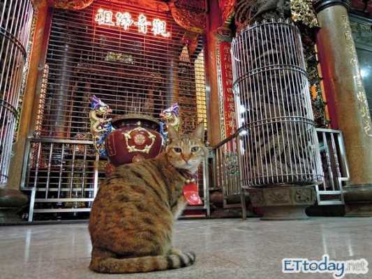 寺庙里面可以放动物（寺庙里可以养动物吗?）