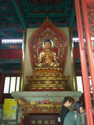 中国最大多宝如来佛寺庙（最大的如来佛在哪里）