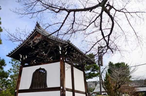 日本京都寺庙茶园（日本京都有一座禅院）