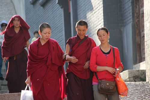 西藏女众寺院（西藏女僧人）